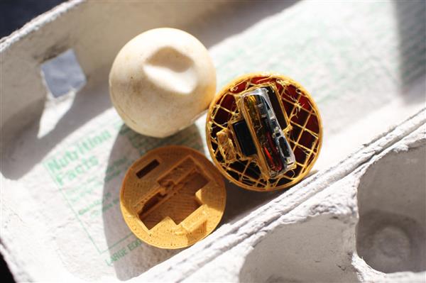 <b>在3D打印的龜蛋上使用物聯(lián)網(wǎng)追蹤偷獵者</b>