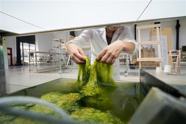 3D打印生物材料