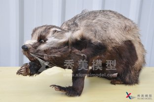 <b>大型玩具模型定制常見(jiàn)問(wèn)題</b>