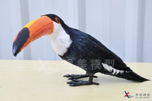 <b>定制模型模型的定義及其分類(lèi)</b>